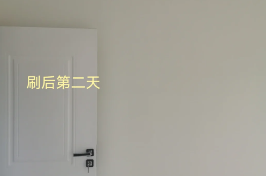 立邦珍珠白墙面漆效果图(立邦漆乳白色效果图)