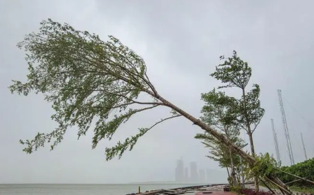 2022年3号台风暹芭从哪登陆(2021年台风名称及时间及登陆地点)