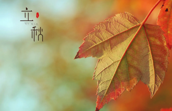 2022年立秋天坑在哪个方位(2020年立冬后天坑在什么位置)