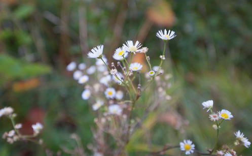 2022广东中秋过后还热吗(2021年广东中山春节天气会冷吗) 2022广东中秋过后还热吗(2021年广东中山春节天气会冷吗)