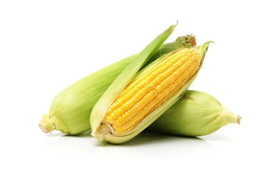 玉米是新鲜存放还是煮熟存放(鲜玉米和熟玉米哪个保存时间长)