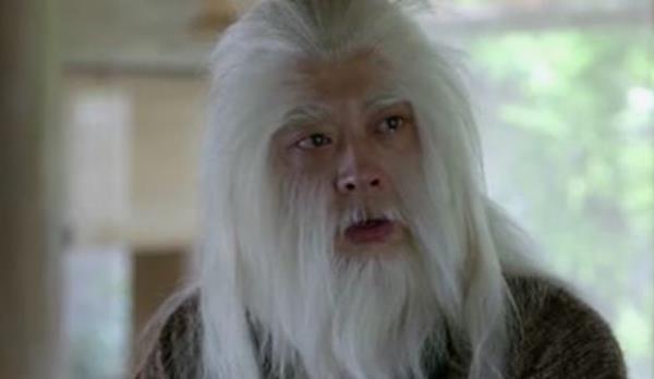 琅琊榜聂铎,原著飞流的结局(琅琊榜梅飞流结局)