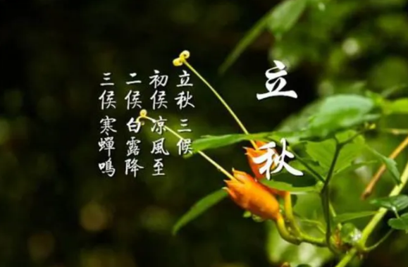 2022年立秋可以搬家吗(2020年立冬可以搬新家吗)