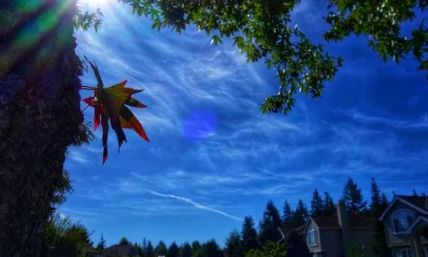 2022北京7月份是夏天吗(北京什么时候是夏天)