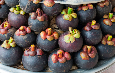 山竹一天最多吃几个(山竹一天吃几个为宜)