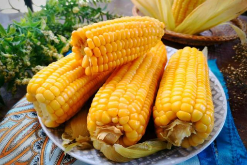 冻玉米是直接煮还是解冻(冻上的玉米直接煮么) 冻玉米是直接煮还是解冻(冻上的玉米直接煮么)