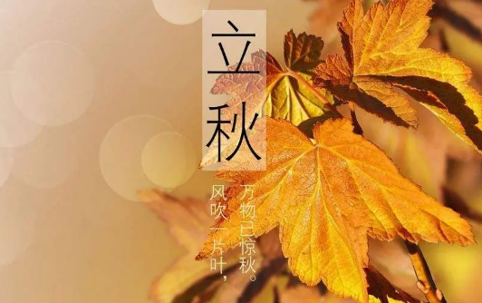 2022年立秋会下雨吗(2020年立冬下雨了吗)