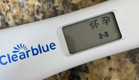 刚怀孕1(刚怀孕10天验孕棒能验出来吗)