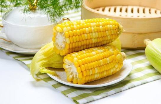 玉米煮好放锅里一夜会坏掉吗(玉米煮熟了放锅里会坏吗)