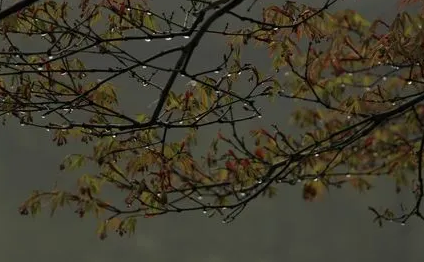 2022年南方雨下到什么时候(2021年北方雨季什么时候开始)