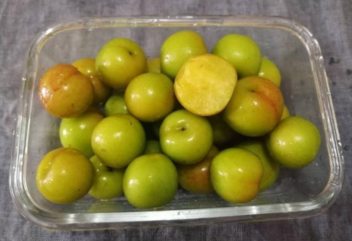 腌李子是放糖还是放盐(李子能用糖腌吗) 腌李子是放糖还是放盐(李子能用糖腌吗)