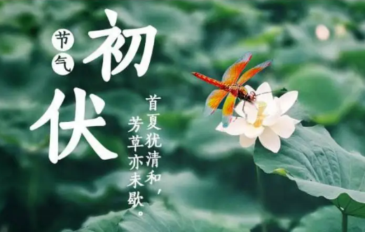 2022年初伏是7月几号(2022年三伏天是几月几号)