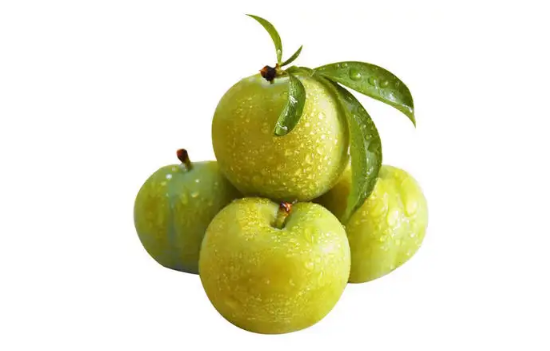 蜂糖李可以放冰箱冷藏吗(蜂蜜能放冰箱保存吗)