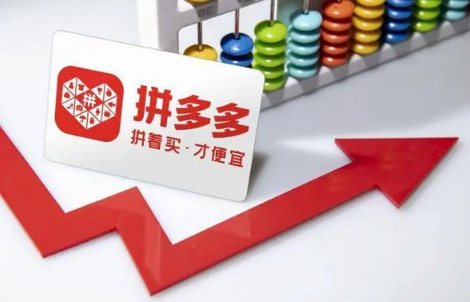 拼多多品牌好货是官方还是自营店铺(拼多多是旗舰店好还是专卖店好)