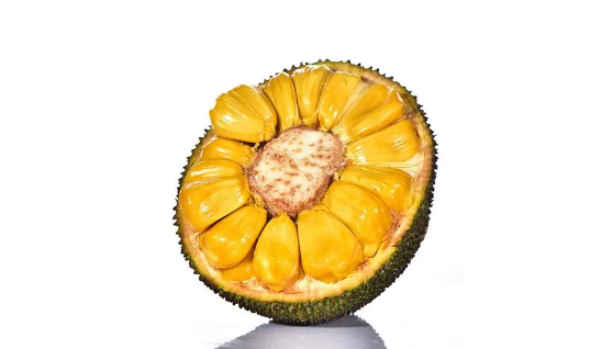 菠萝蜜放了一夜有点酸能吃吗(菠萝蜜吃着酸还能吃吗)