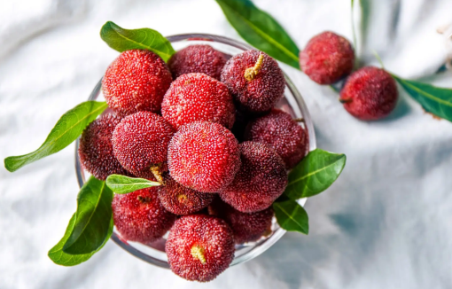 杨梅里面的小白虫可以吃吗(不小心吃了杨梅里的小白虫会怎么样)