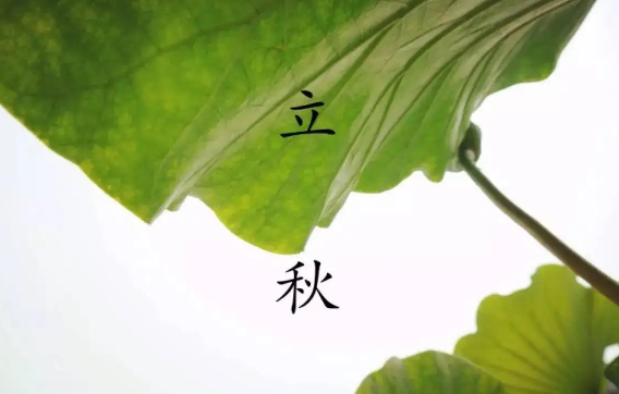 2022年立秋天坑在哪个方位(2020年立冬后天坑在什么位置)