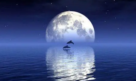 2022中秋节淘宝会有优惠活动吗(中秋节淘宝会打折吗)