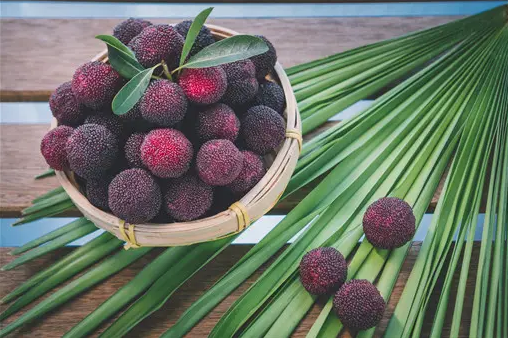 杨梅里面的小白虫可以吃吗(不小心吃了杨梅里的小白虫会怎么样)