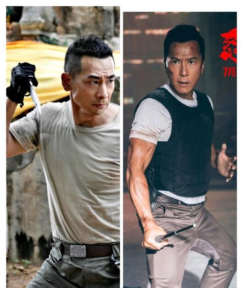 赵文卓和甄子丹，吴京力挺甄子丹还(李连杰甄子丹赵文卓吴京谁更能打)