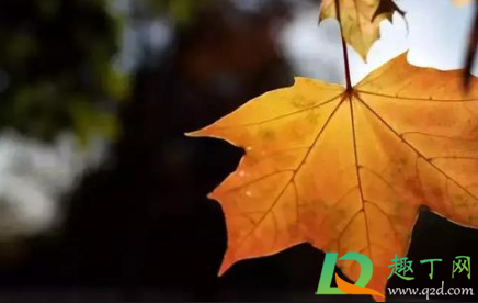 2021年立秋是几月几号(2021年立秋是几月几号开始到结束) 2021年立秋是几月几号(2021年立秋是几月几号开始到结束)