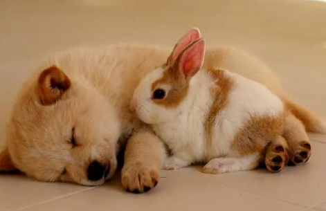 修勾是什么意思(郭语) 修勾是什么意思(郭语)