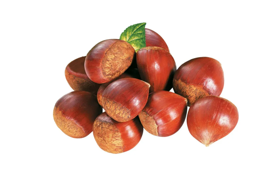 板栗煮多长时间可以熟(板栗煮多长时间可以熟糖尿病人能吃板栗吗) 板栗煮多长时间可以熟(板栗煮多长时间可以熟糖尿病人能吃板栗吗)