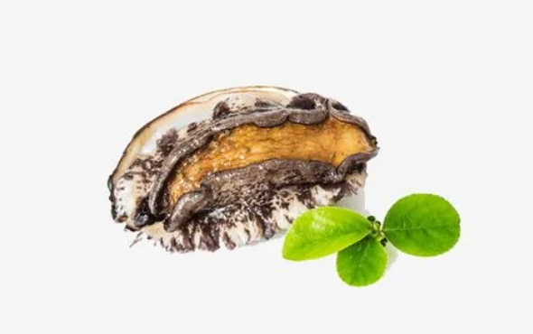 几头鲍鱼是什么意思(鲍鱼的几头几头是什么意思) 几头鲍鱼是什么意思(鲍鱼的几头几头是什么意思)