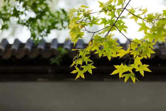 2022年立秋天坑在哪个方位(2020年立冬后天坑在什么位置)