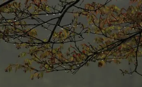 2022年夏天为什么老下雨(今年夏天为何一直下雨)