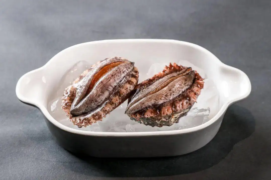 几头鲍鱼是什么意思(鲍鱼的几头几头是什么意思)