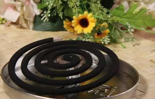 为什么一开灯蚊子就不见了(打开灯蚊子就不见了)