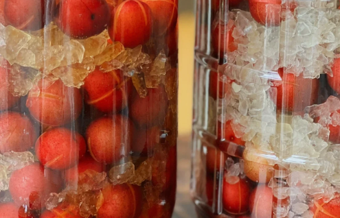 自酿李子酒需要放冰箱吗(李子酒怎样长期保存) 自酿李子酒需要放冰箱吗(李子酒怎样长期保存)