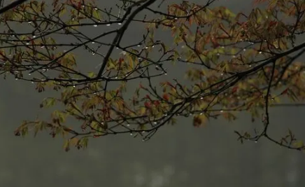 2022北京7月份下雨多吗(2020年7月北京大雨是哪天) 2022北京7月份下雨多吗(2020年7月北京大雨是哪天)