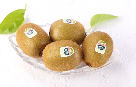 奇异果和猕猴桃哪个营养价值高(猕猴桃跟奇异果哪个营养高)