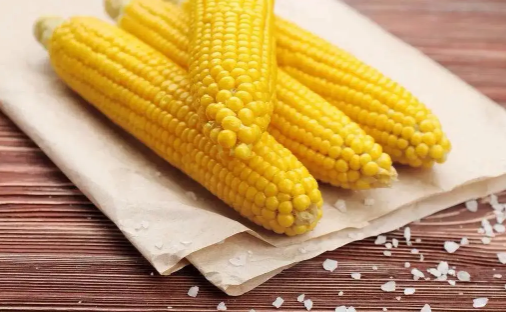 玉米煮好放锅里一夜会坏掉吗(玉米煮熟了放锅里会坏吗) 玉米煮好放锅里一夜会坏掉吗(玉米煮熟了放锅里会坏吗)