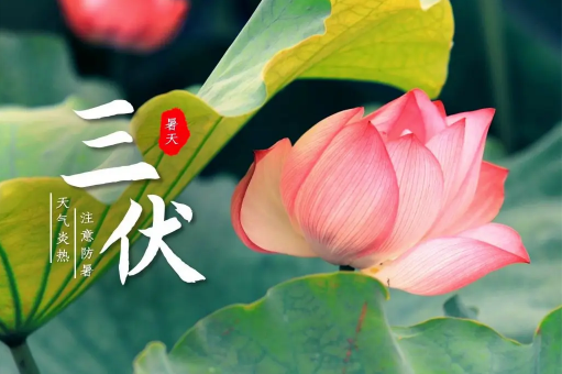 2022年三伏天热不热(2021年三伏天末伏还热吗) 2022年三伏天热不热(2021年三伏天末伏还热吗)