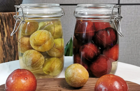 自酿李子酒需要放冰箱吗(李子酒怎样长期保存)