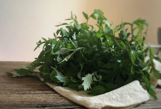 艾蒿能吃吗怎么吃(野艾蒿可以吃吗,怎么吃)