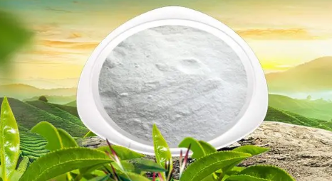 左旋肉碱有副作用吗(锻炼吃左旋肉碱有副作用吗) 左旋肉碱有副作用吗(锻炼吃左旋肉碱有副作用吗)