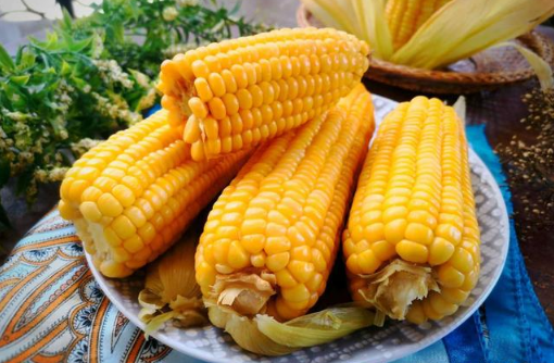 玉米是生着冻还是煮熟了冻着好(玉米煮熟了冻好还是生的冻好)