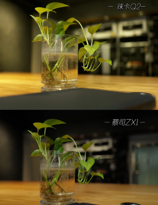 徕卡和蔡司是一个档次吗(蔡司徕卡对比评测) 徕卡和蔡司是一个档次吗(蔡司徕卡对比评测)