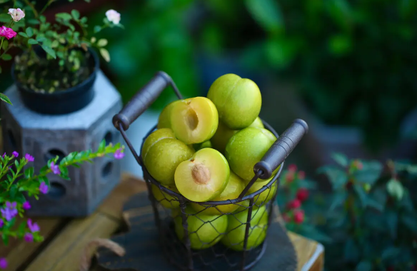 蜂糖李是脱骨李吗(蜂糖李脱核吗)