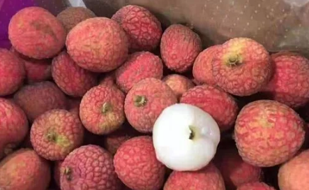 妃子笑荔枝种植几年才挂果(妃子笑荔枝几月份开花)