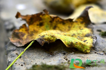 2021年立秋是几月几号(2021年立秋是几月几号开始到结束)