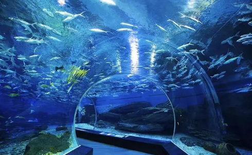 武汉海昌极地海洋世界夜场可以现场买票吗(武汉极地海洋世界有夜场吗)