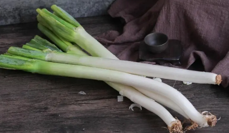 大葱能培育出葱黄吗(大葱能培育出葱黄吗蚂蚁) 大葱能培育出葱黄吗(大葱能培育出葱黄吗蚂蚁)