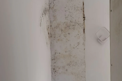 外墙渗水到内墙能彻底解决吗(外墙渗水到内墙如何解决)