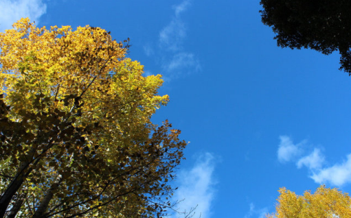 2022广东中秋过后还热吗(2021年广东中山春节天气会冷吗)