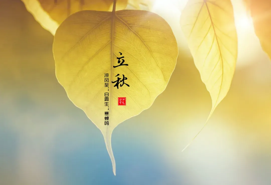 2022年立秋可以搬家吗(2020年立冬可以搬新家吗)